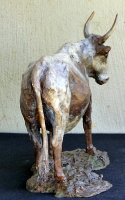 Nguni Cow