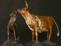 Nguni cow and calf