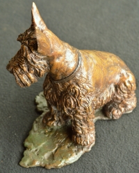 Scotty Dog 