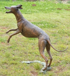 Whippet for WHPS school - SOLD
