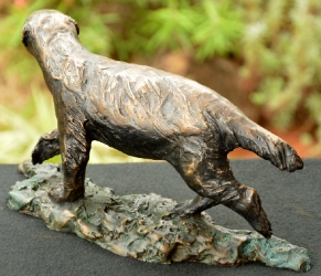 Bad Boy - Honey Badger