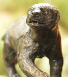 Bad Boy - Honey Badger