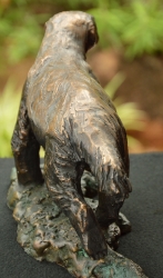 Bad Boy - Honey Badger
