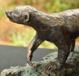Bad Boy - Honey Badger