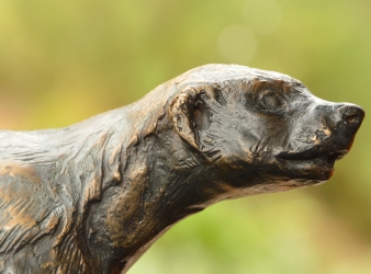 Bad Boy - Honey Badger