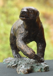 Bad Boy - Honey Badger