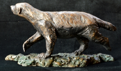 Bad Boy - Honey Badger