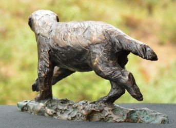 Bad Boy - Honey Badger