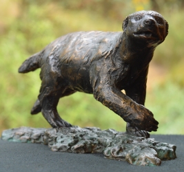 Bad Boy - Honey Badger