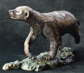 Bad Boy - Honey Badger