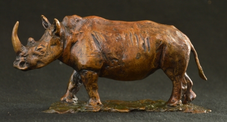 Rhino - Big 5 - small collection