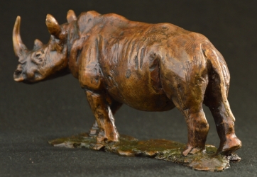 Rhino - Big 5 - small collection