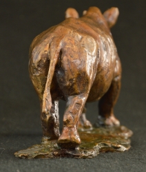 Rhino - Big 5 - small collection