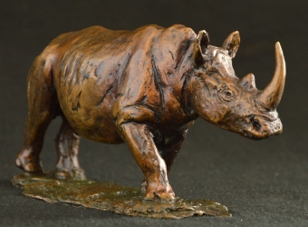Rhino - Big 5 - small collection