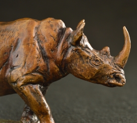 Rhino - Big 5 - small collection