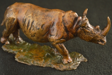 Rhino - Big 5 - small collection