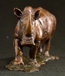 Rhino - Big 5 - small collection