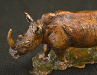 Rhino - Big 5 - small collection