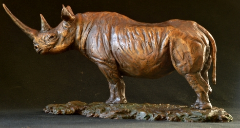 Black Rhino