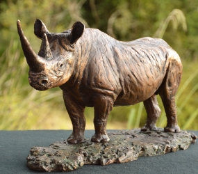 Black Rhino