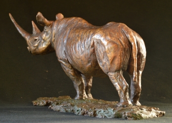 Black Rhino