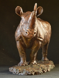 Black Rhino