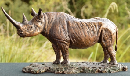 Black Rhino