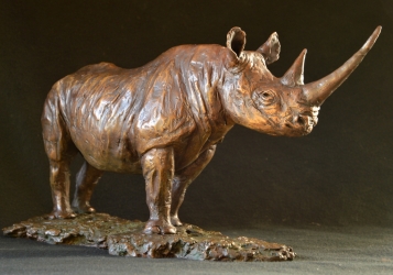 Black Rhino