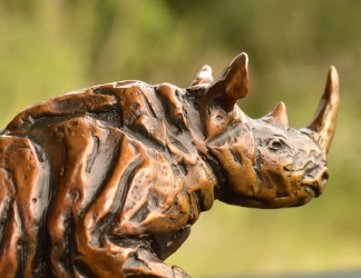 Black Rhino Maquette