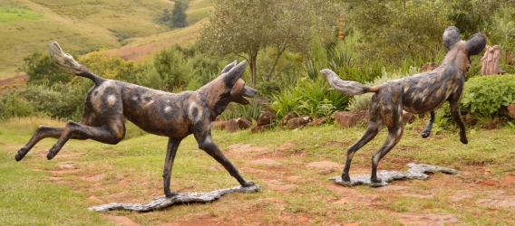 Bruce - Wild dog Life-sized