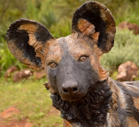 Bruce - Wild dog Life-sized