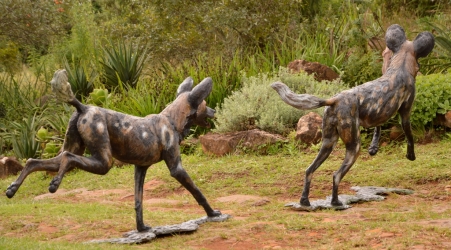 Bruce - Wild dog Life-sized
