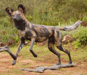 Bruce - Wild dog Life-sized
