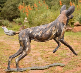 Bruce - Wild dog Life-sized