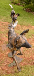 Bruce - Wild dog Life-sized 