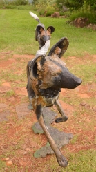 Bruce - Wild dog Life-sized 