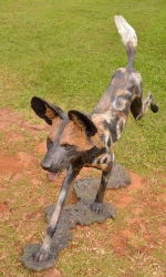 Bruce - Wild dog Life-sized 