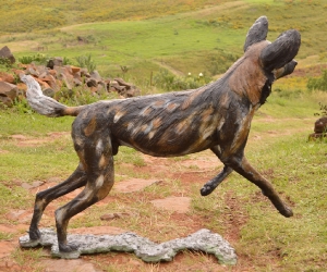 Bruce - Wild dog Life-sized 
