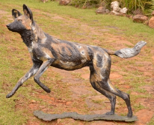 Bruce - Wild dog Life-sized 