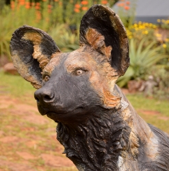 Bruce - Wild dog Life-sized 