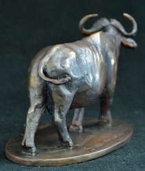 Buffalo - Big 5 Collectible