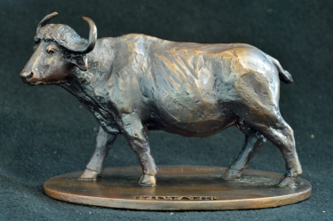 Buffalo - Big 5 Collectible