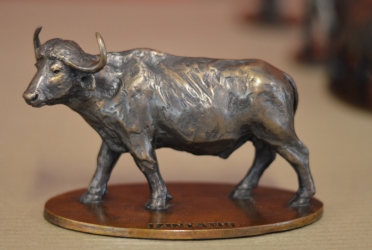 Buffalo - Big 5 collectible