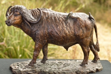 Buffalo Bull with oxpeckers