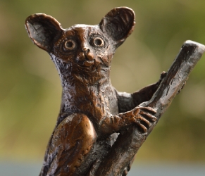 Bush Baby - Mini