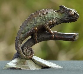 Chameleon - Mini