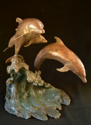 Dolphin Family