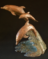 Dolphin Family