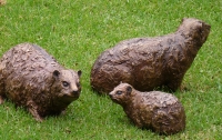 Family of Dassies