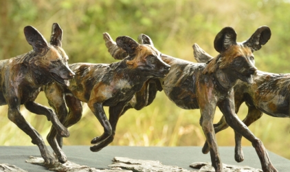 Famous Five - Wild dogs